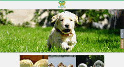 Desktop Screenshot of emeraldgarden.pl